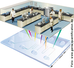 Auf einem Biochip kann ein ganzes Labor untergebracht werden