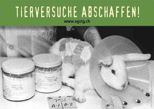 AG STG Protestkarte ans Bundesamt für Veterinärwesen gegen die ständig steigenden Tierversuchszahlen!