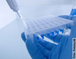 Den in einer Mikrotiterplatte gewachsenen Zellen wird eine Testsubstanz hinzugefügt