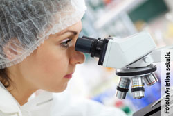 Unter dem Mikroskop wird untersucht, ob die hinzugefügte Substanz zu einer Reaktion bei den Zellkulturen führt