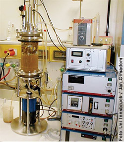 Bioreaktor - Wie wirkt sich ein bestimmter Stoff nach einer gewissen Verabreichungsdauer auf die Leber aus? (Pharmakologie)