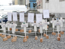 30.11.2012, Luzern: AG STG – Aktion: Grabkreuze für Tiere (Fotoquelle: AG STG)
