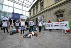 1.06.2013, Winterthur: AG STG – Aktion: Spektakuläres Massensterben