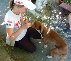 Maroni lässt sich füttern - Tierschutzverein Free Amely 2007