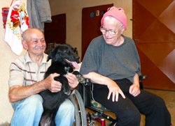 Das rumänische Paar kümmert sich gut um ihren Schützling - Tierschutzverein Free Amely 2007