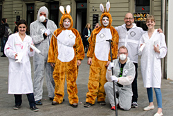 26. April 2014 - Hasen aus universitärem Versuchslabor ausgebrochen