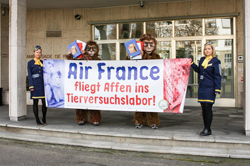 21. November 2014 - AG STG Petitionsübergabe Air France in Bern