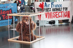 Demo gegen die Affentransporte der Air France am Flughafen Basel