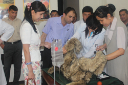 Grosses Interesse: Usbekische Studenten mit einem Hundemodell