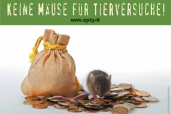 Keine Mäuse für Tierversuche - AG STG Protestkarte