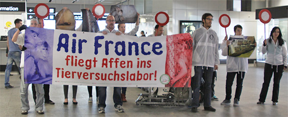 Lautstarker Protest am Flughafen Zürich: Air France fliegt Affen in Tierversuchslabors - Medienmitteilung der AG STG