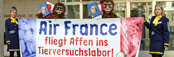 Petitionsübergabe «Stoppt die Affentransporte in Tierversuchslabors!» - Air France – Eine Reise in die Hölle! - Medienmitteilung der AG STG